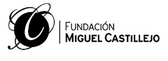 Fundación Miguel Castillejo Formación